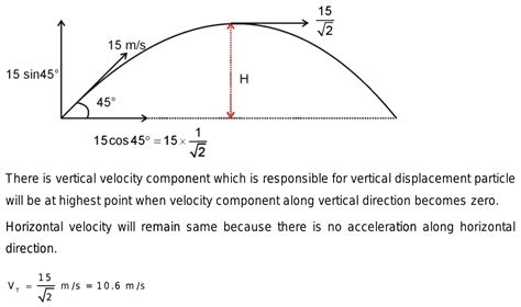 What Points Is Velocity The Highest