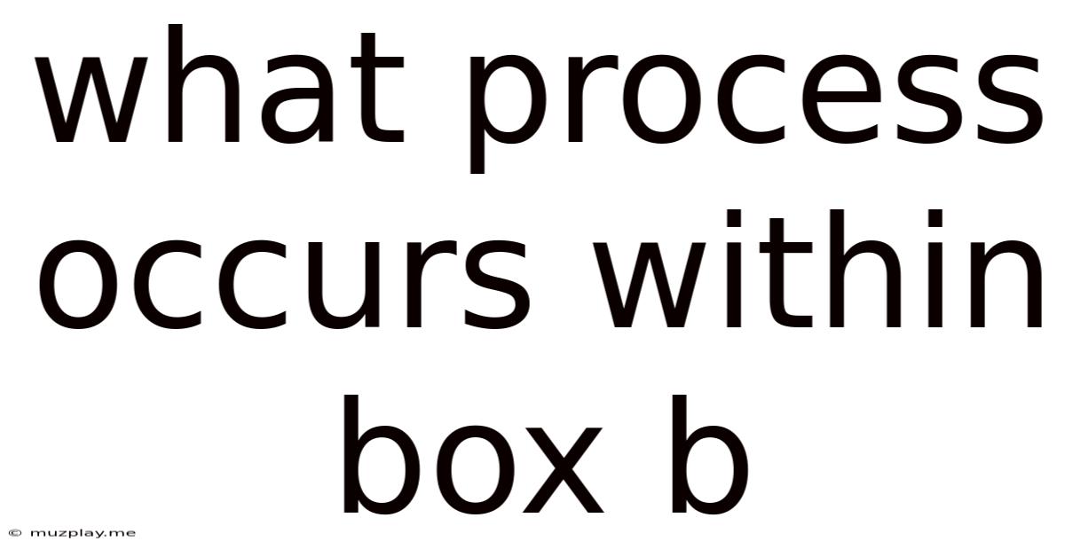 What Process Occurs Within Box B