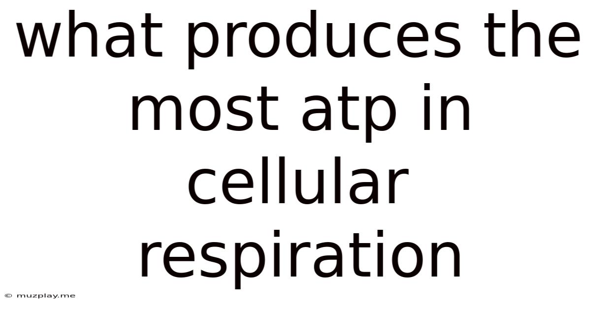 What Produces The Most Atp In Cellular Respiration