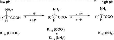 What Protonates An Amine At Ph 4