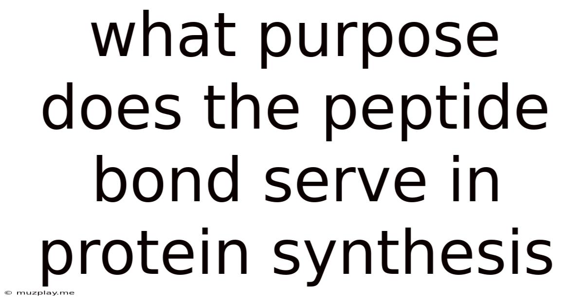 What Purpose Does The Peptide Bond Serve In Protein Synthesis