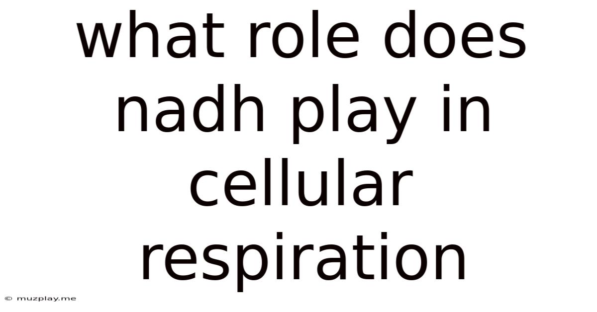 What Role Does Nadh Play In Cellular Respiration