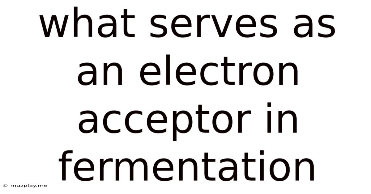 What Serves As An Electron Acceptor In Fermentation