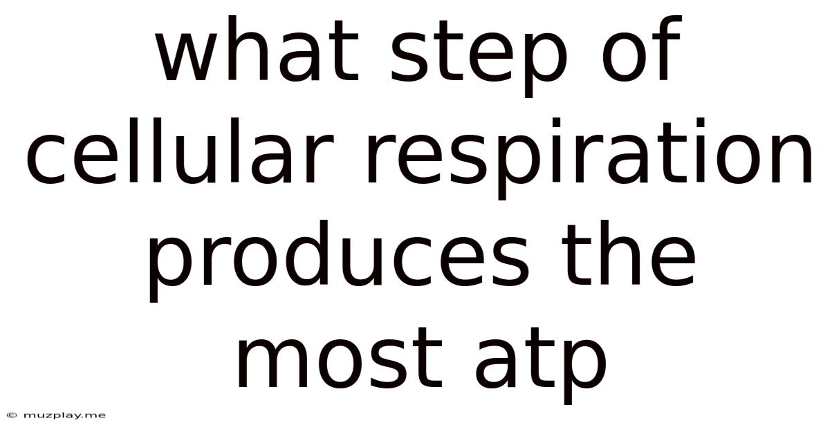 What Step Of Cellular Respiration Produces The Most Atp