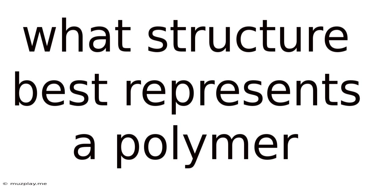 What Structure Best Represents A Polymer