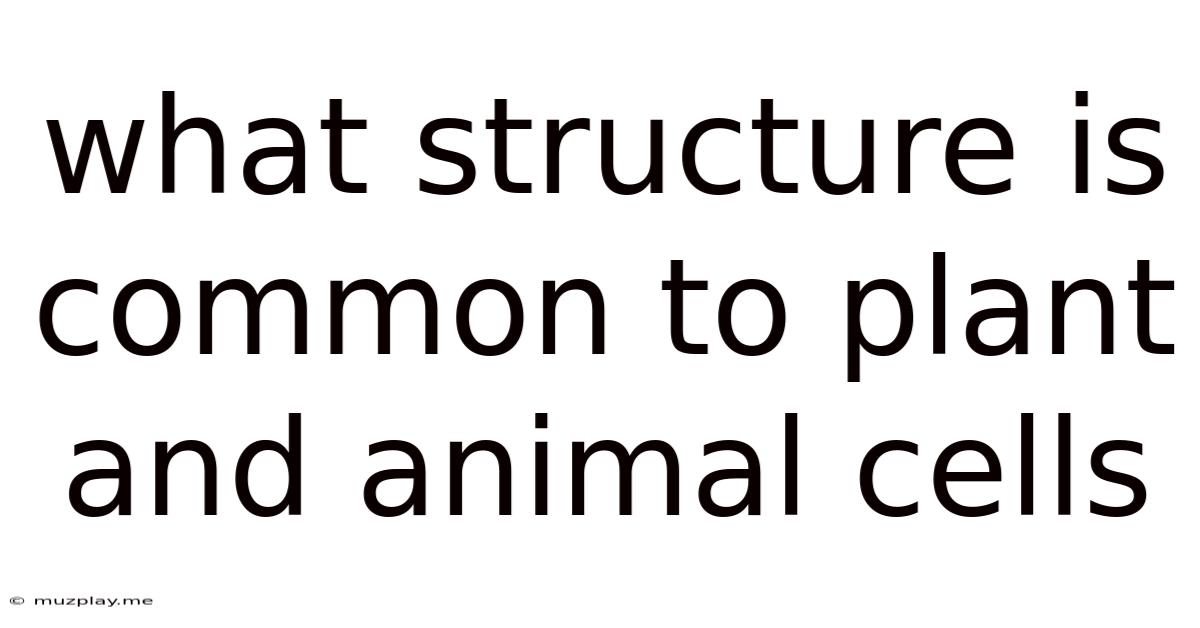What Structure Is Common To Plant And Animal Cells