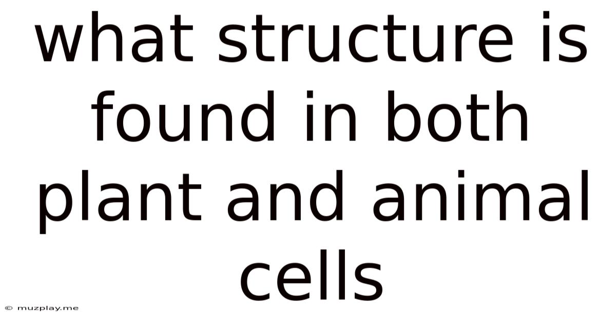 What Structure Is Found In Both Plant And Animal Cells