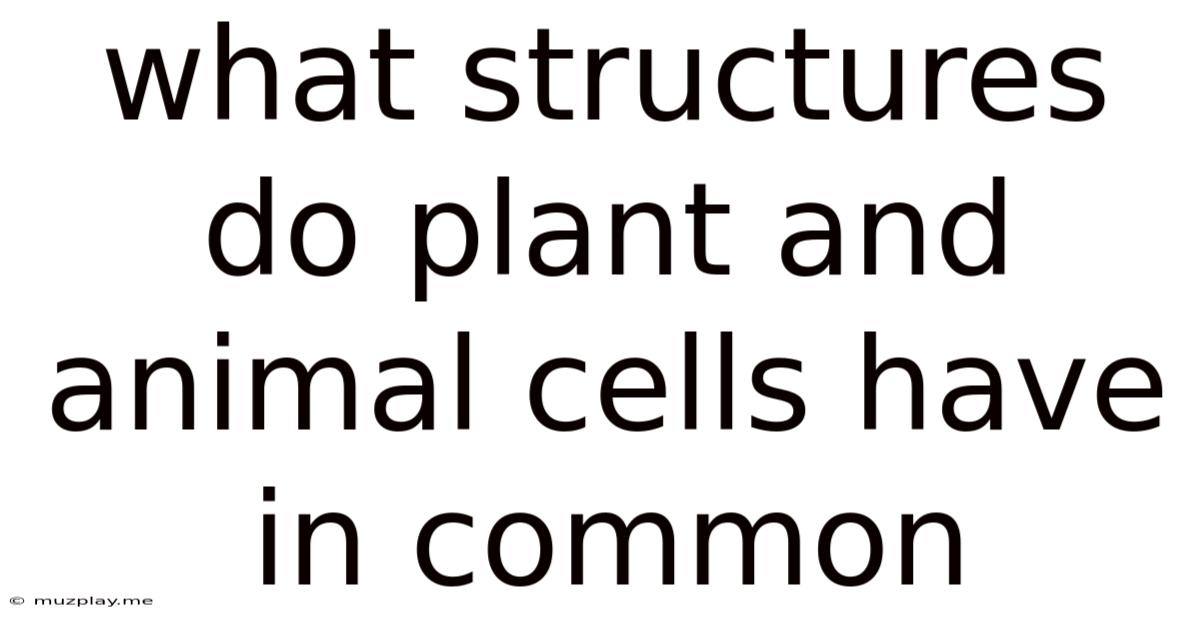 What Structures Do Plant And Animal Cells Have In Common