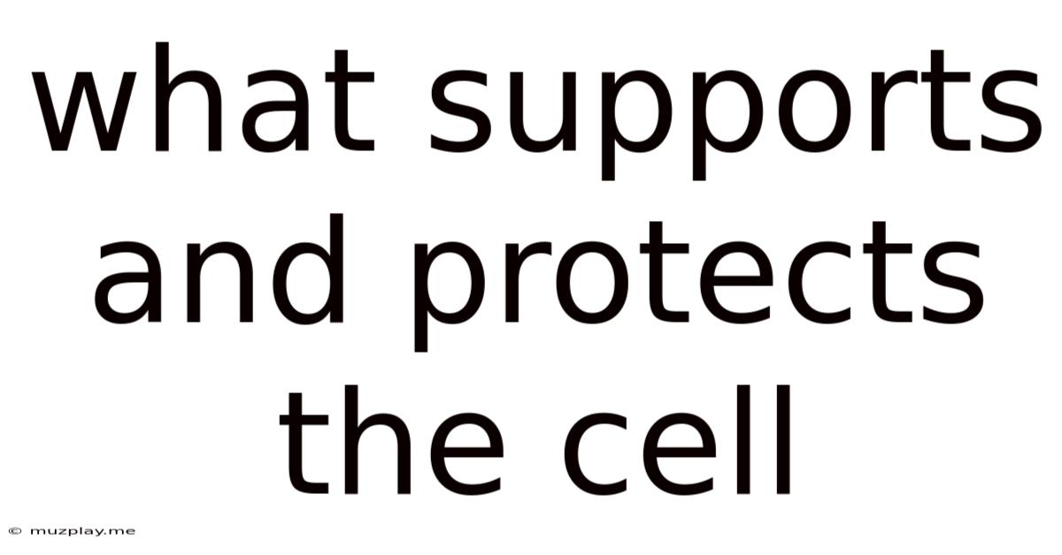What Supports And Protects The Cell