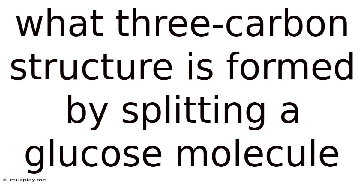 What Three-carbon Structure Is Formed By Splitting A Glucose Molecule