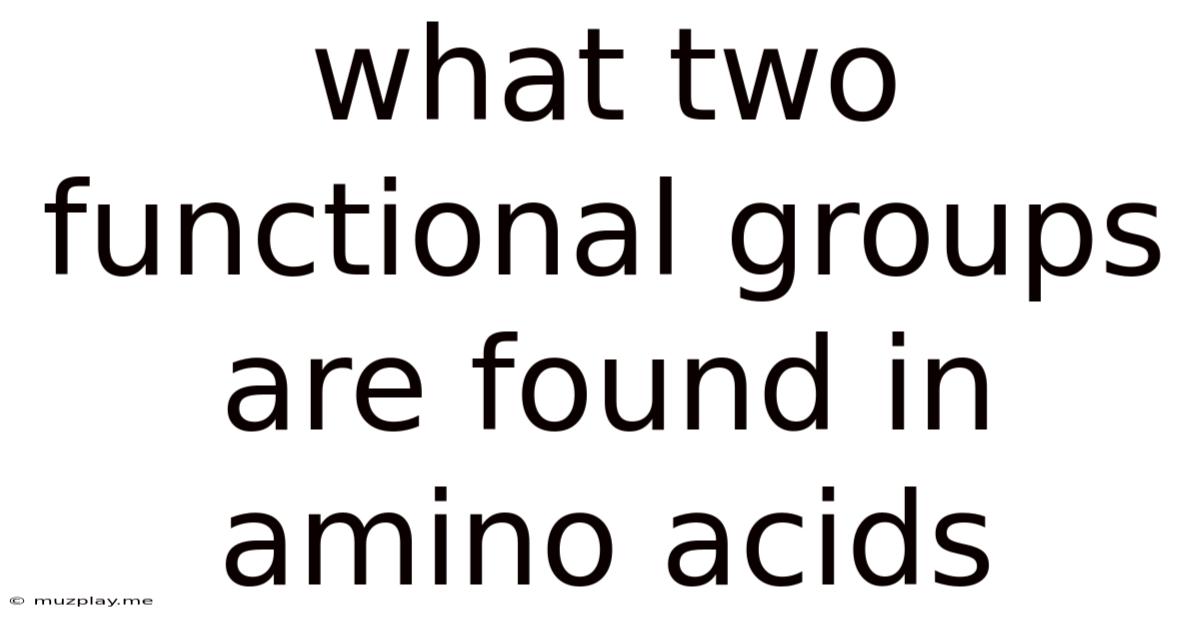 What Two Functional Groups Are Found In Amino Acids