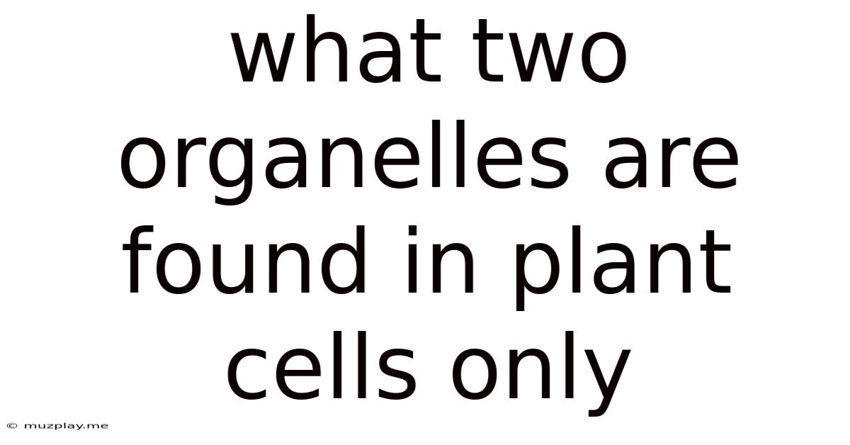 What Two Organelles Are Found In Plant Cells Only