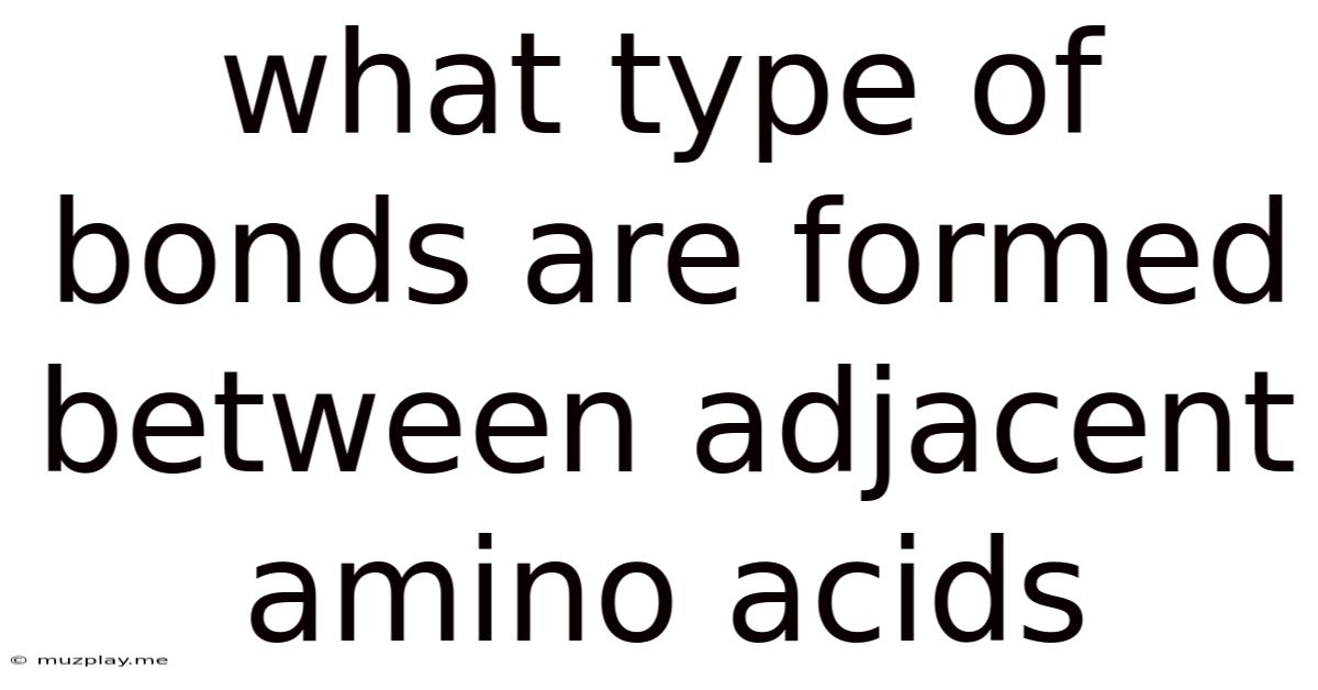 What Type Of Bonds Are Formed Between Adjacent Amino Acids