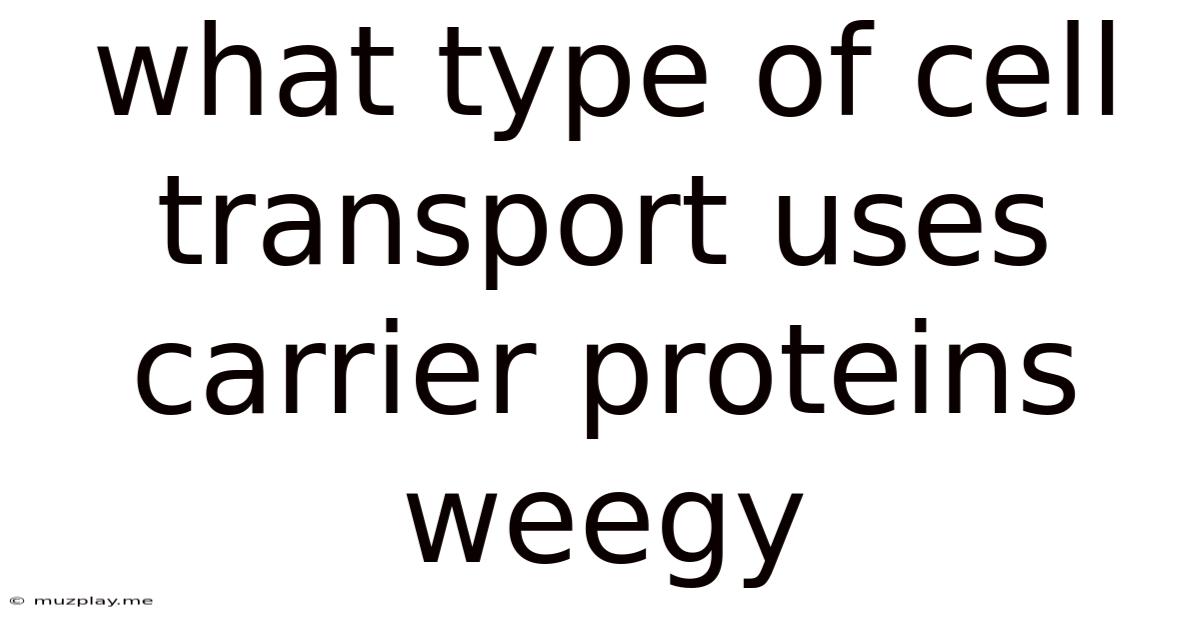 What Type Of Cell Transport Uses Carrier Proteins Weegy