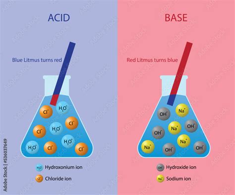 What Type Of Ions Do Bases Release