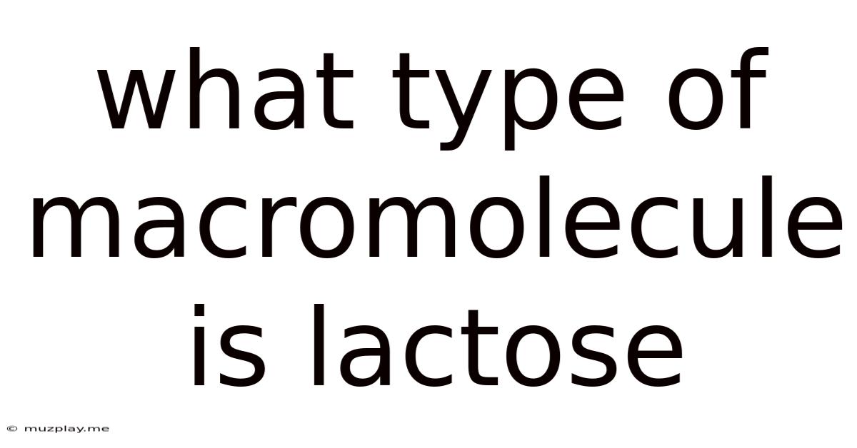 What Type Of Macromolecule Is Lactose