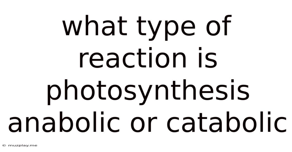 What Type Of Reaction Is Photosynthesis Anabolic Or Catabolic