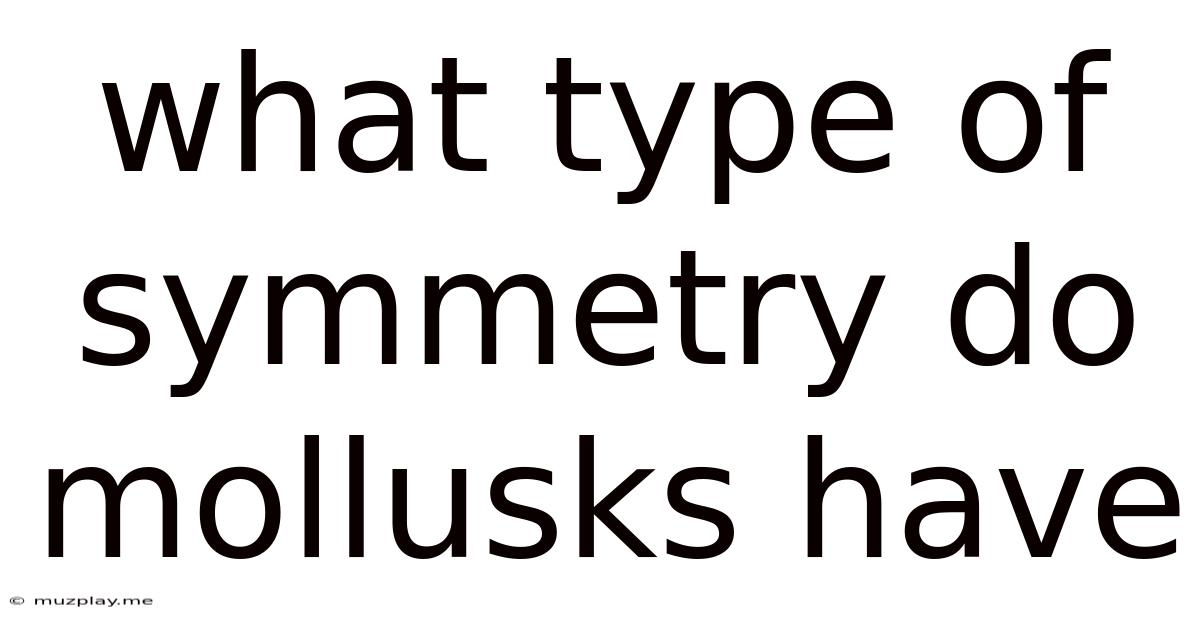 What Type Of Symmetry Do Mollusks Have