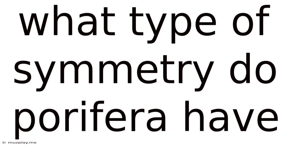 What Type Of Symmetry Do Porifera Have