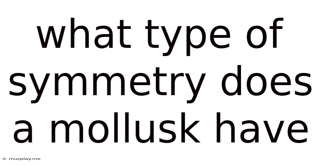 What Type Of Symmetry Does A Mollusk Have