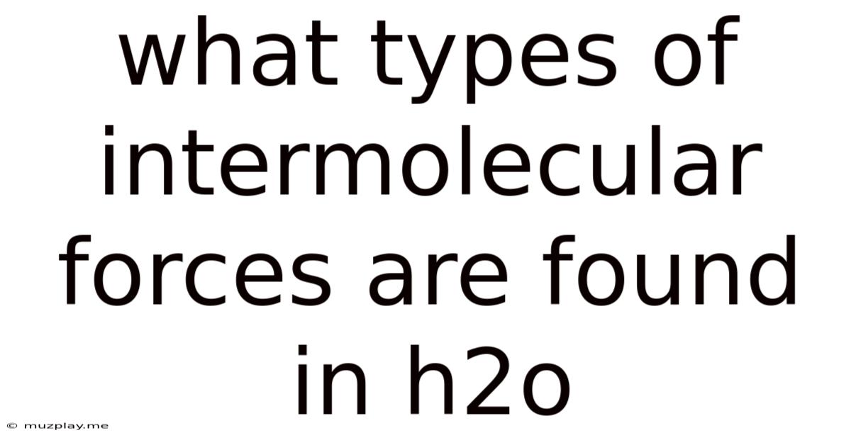What Types Of Intermolecular Forces Are Found In H2o