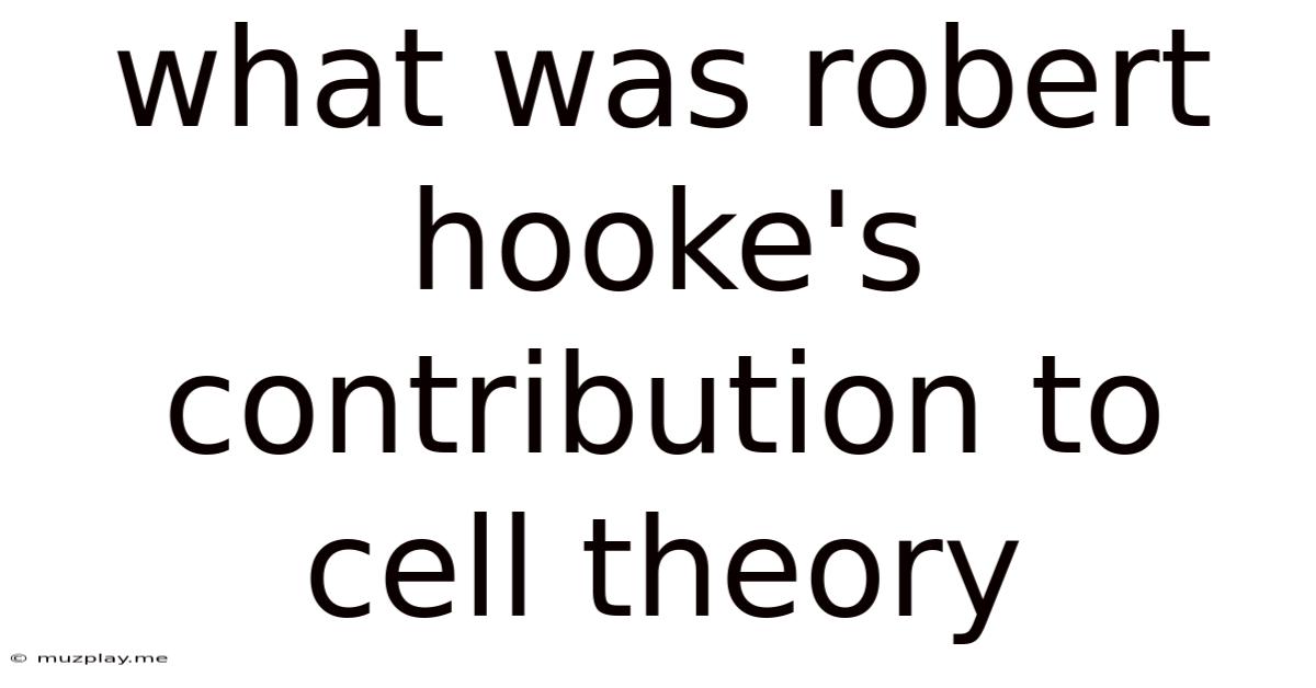 What Was Robert Hooke's Contribution To Cell Theory
