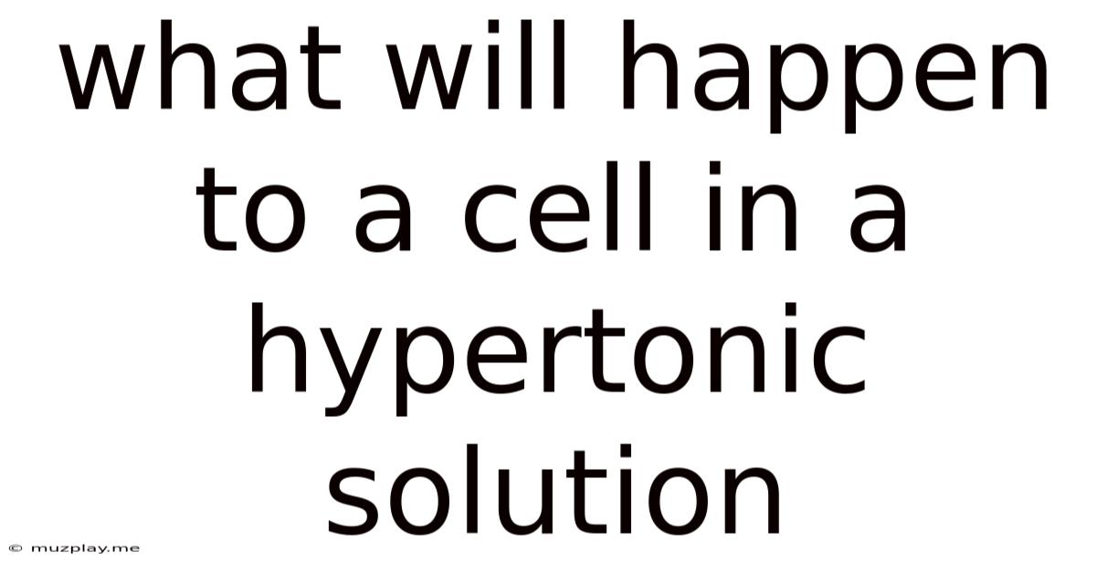 What Will Happen To A Cell In A Hypertonic Solution