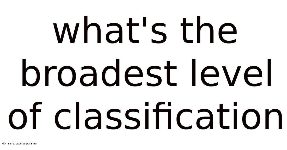What's The Broadest Level Of Classification