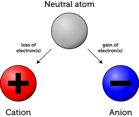 When An Atom Gains An Electron It Becomes