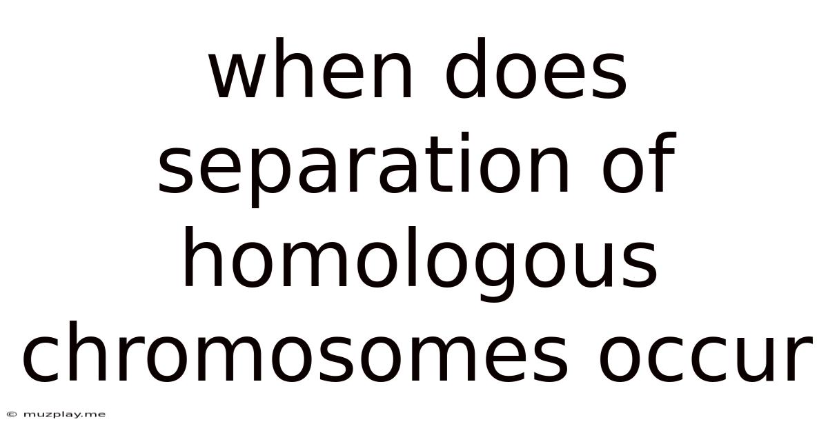 When Does Separation Of Homologous Chromosomes Occur