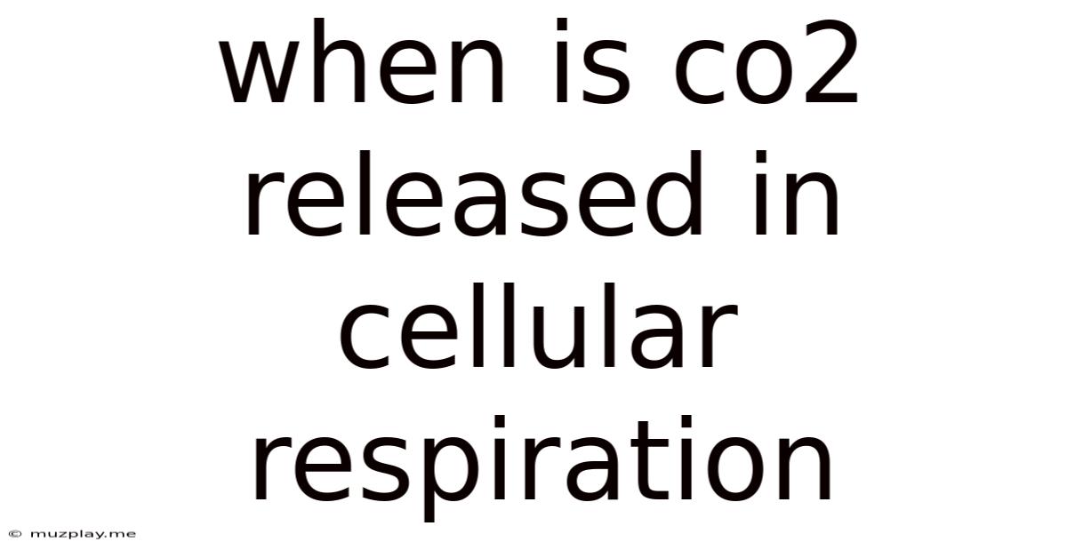 When Is Co2 Released In Cellular Respiration