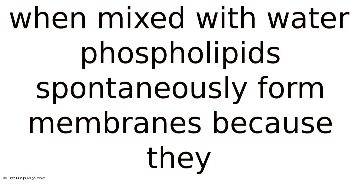 When Mixed With Water Phospholipids Spontaneously Form Membranes Because They