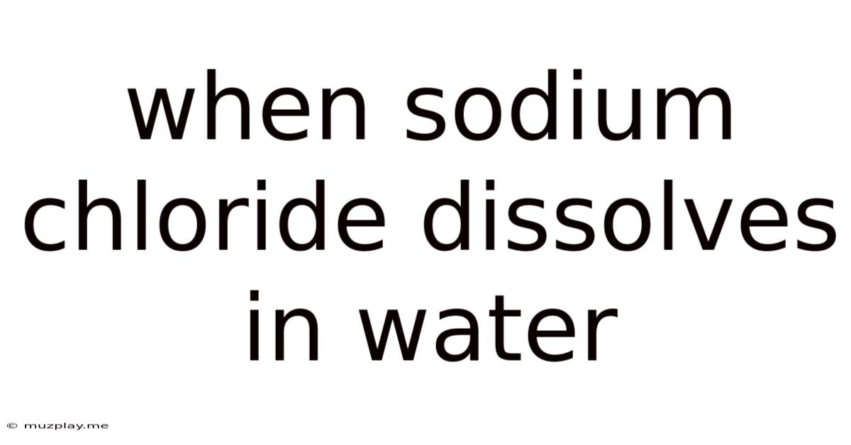 When Sodium Chloride Dissolves In Water
