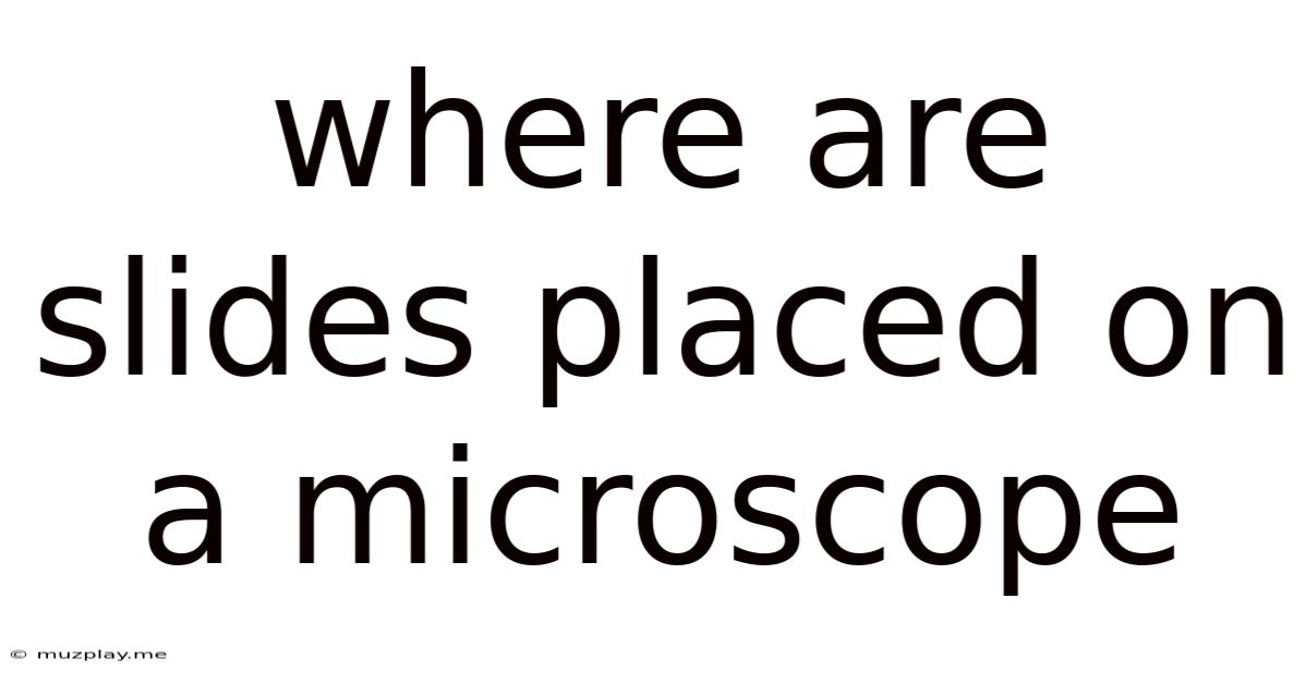 Where Are Slides Placed On A Microscope