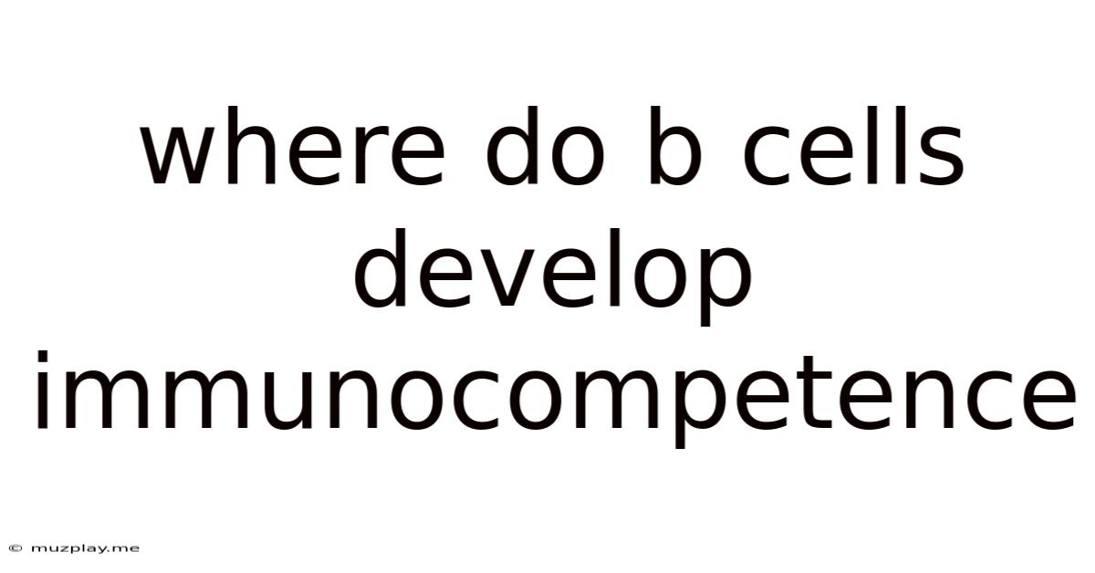 Where Do B Cells Develop Immunocompetence