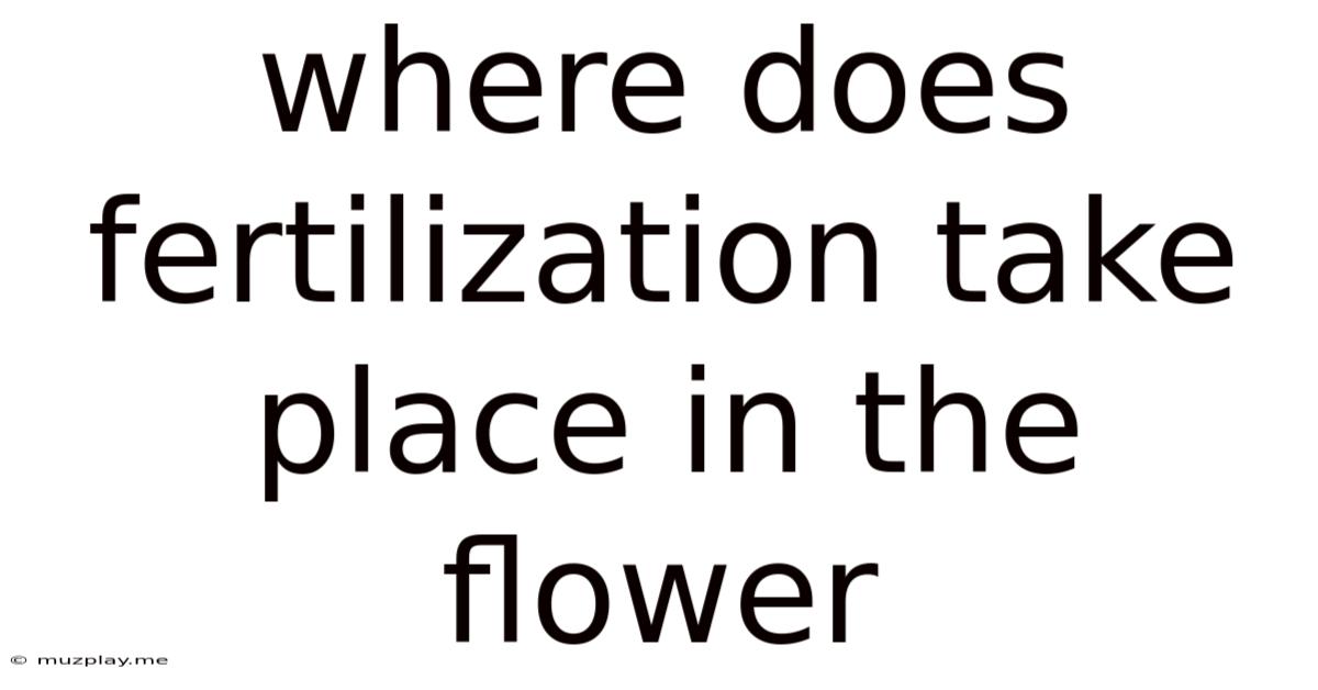 Where Does Fertilization Take Place In The Flower