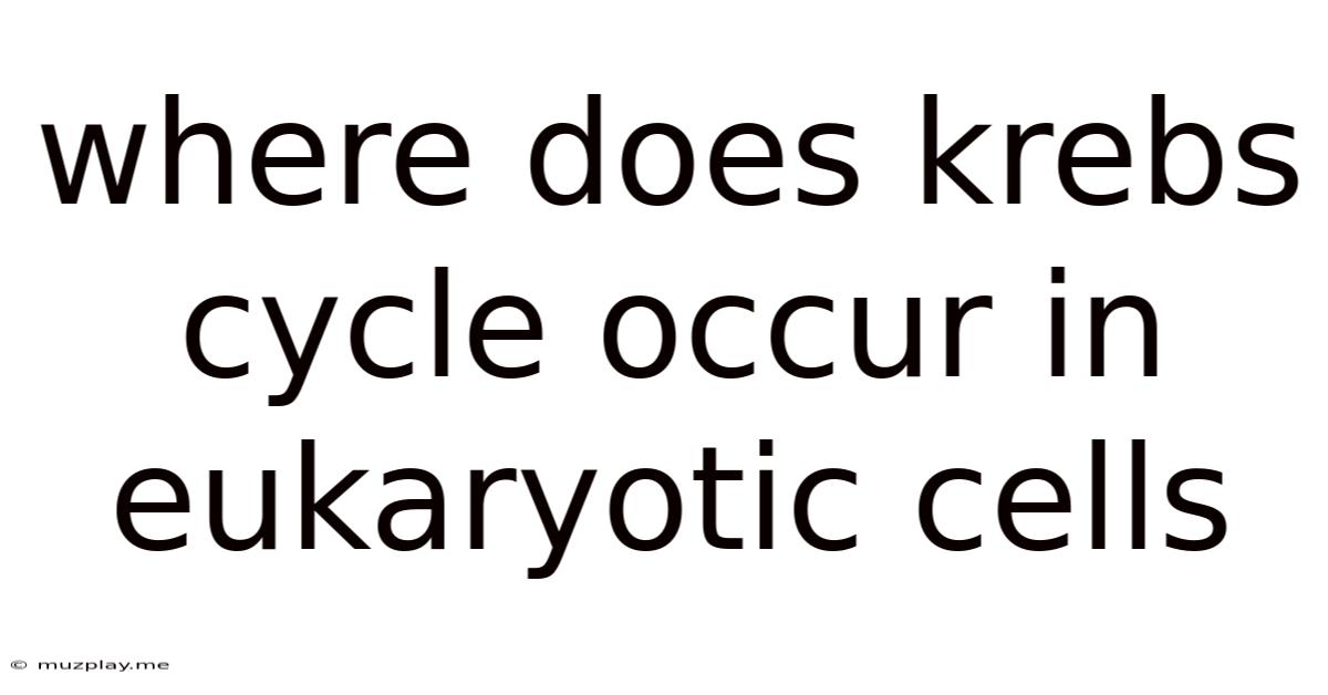 Where Does Krebs Cycle Occur In Eukaryotic Cells