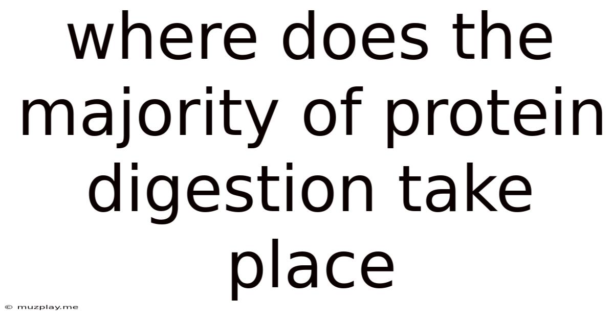 Where Does The Majority Of Protein Digestion Take Place