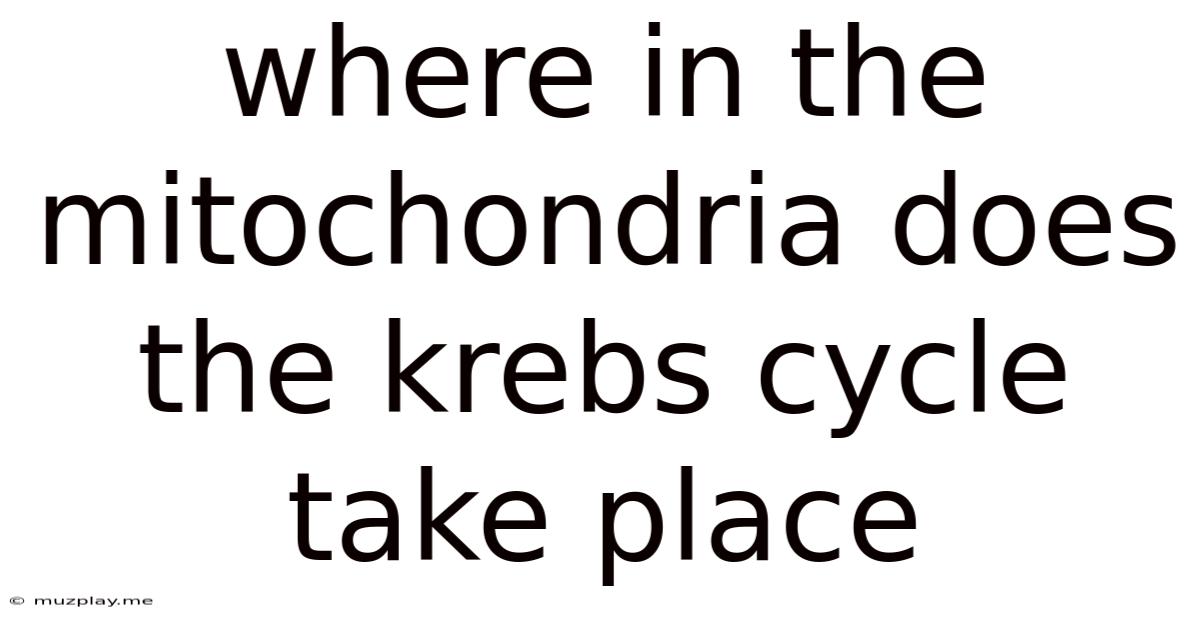 Where In The Mitochondria Does The Krebs Cycle Take Place