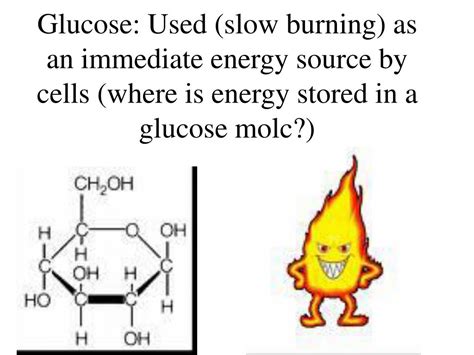 Where Is Energy Stored In Glucose