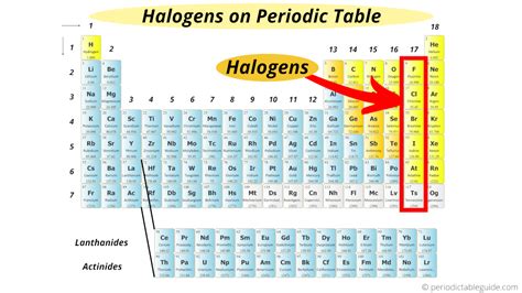 Where Is Halogens On The Periodic Table