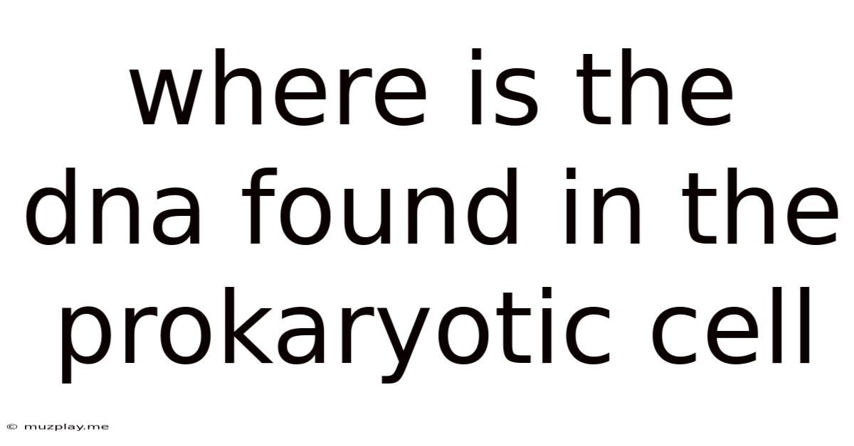 Where Is The Dna Found In The Prokaryotic Cell
