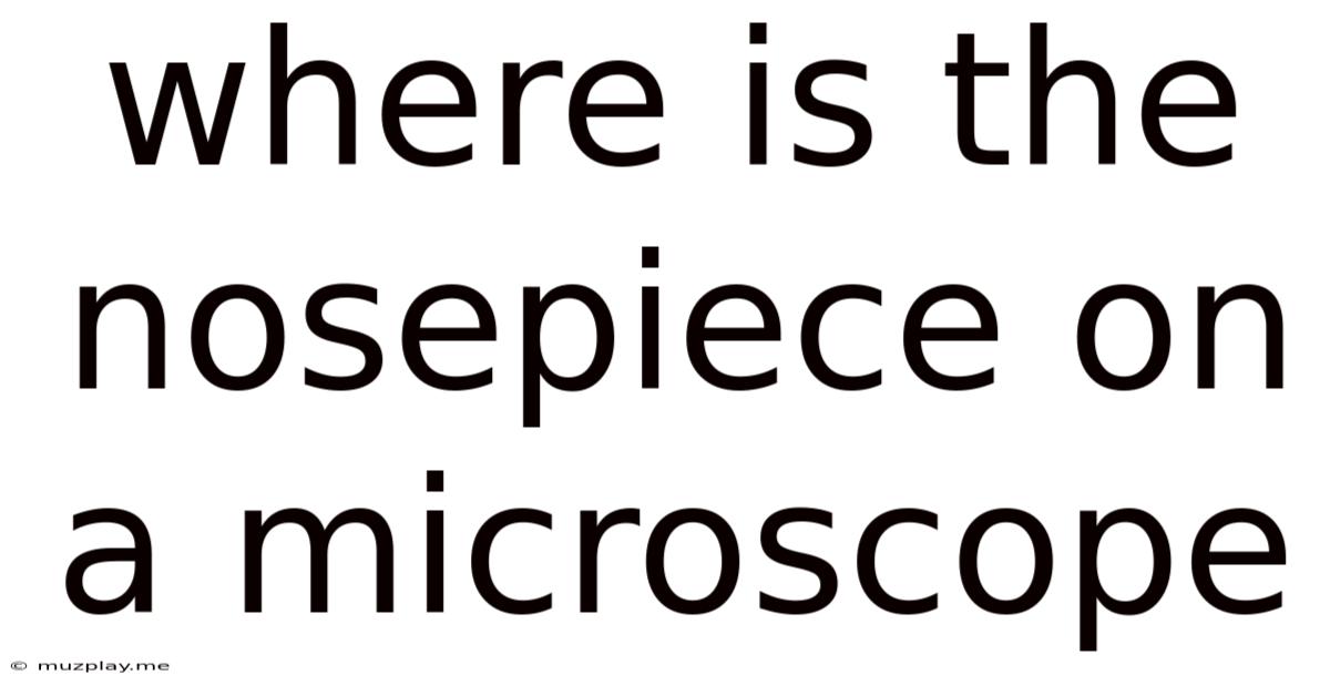 Where Is The Nosepiece On A Microscope