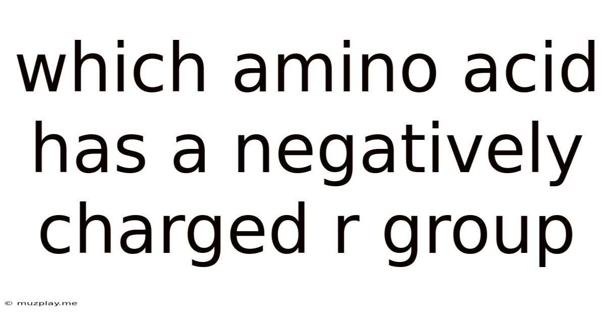 Which Amino Acid Has A Negatively Charged R Group