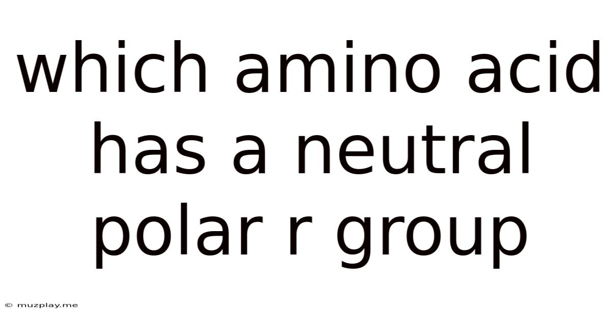 Which Amino Acid Has A Neutral Polar R Group