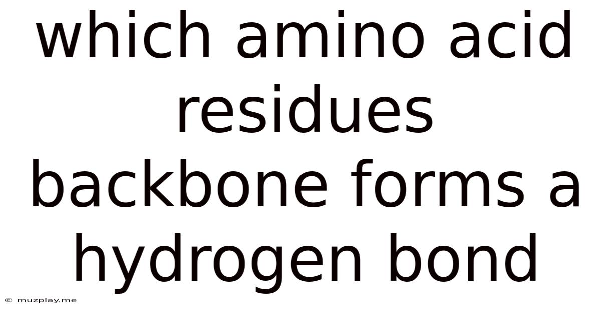 Which Amino Acid Residues Backbone Forms A Hydrogen Bond