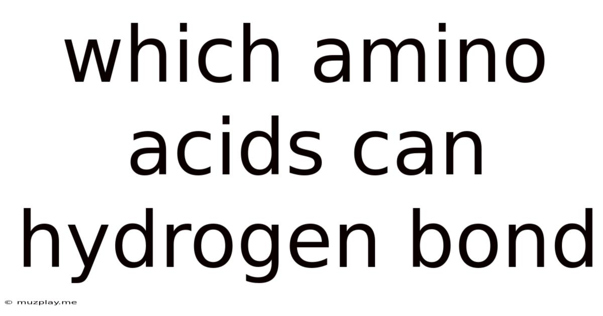 Which Amino Acids Can Hydrogen Bond