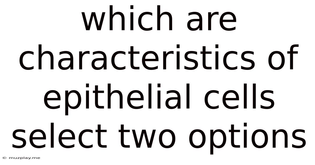 Which Are Characteristics Of Epithelial Cells Select Two Options