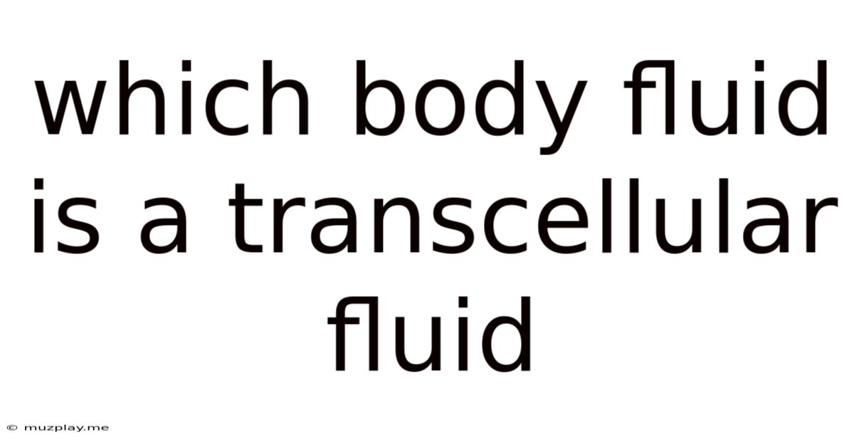 Which Body Fluid Is A Transcellular Fluid