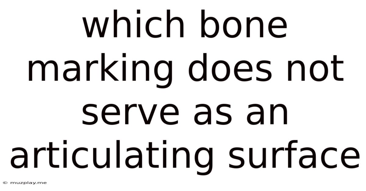 Which Bone Marking Does Not Serve As An Articulating Surface